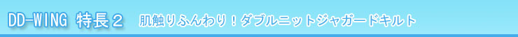 マニフレックス DD-WING(DDウイング) 特長２