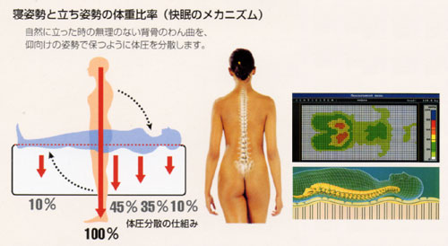 快眠のメカニズム