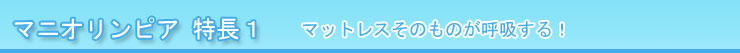 マニフレックス マニオリンピア 特長１