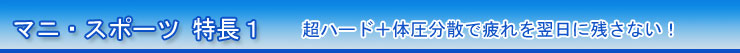 マニフレックス マニスポーツ 特長１