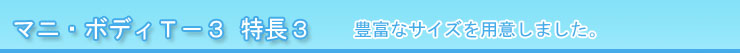 マニフレックス マニ・ボディT－３ 特長１